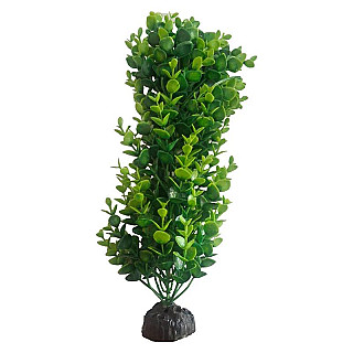 Aquarium Decor