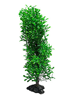 Aquarium Decor