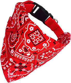 Bandana