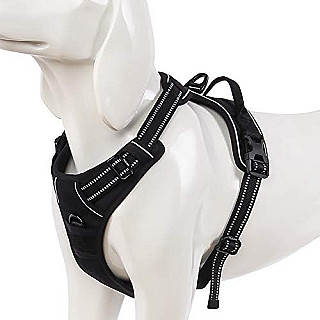 Dog Harness