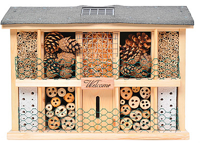 House Decor (Used)