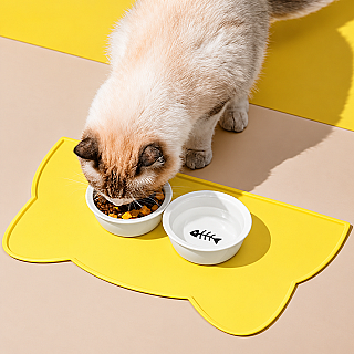 Silicone Mat