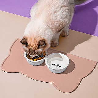 Silicone Mat