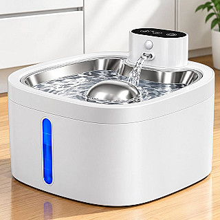 Rechargeable Fountain