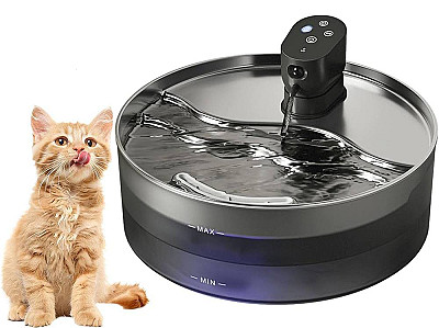 Rechargeable Fountain