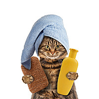 Cleaning & Hygiene