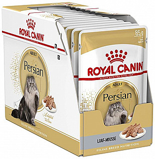 Royal Canin پشیەلەی شیرازی