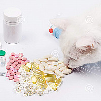 Health & Vitamins