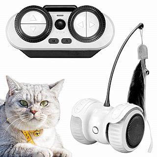Cat Car Toy